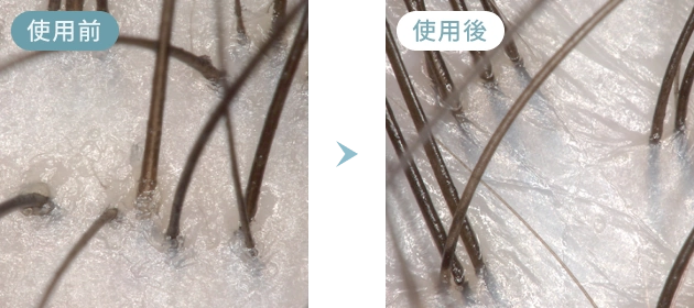 使用前・使用後イメージ