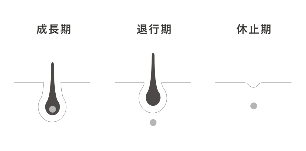 毛穴周期のイラスト